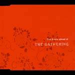 The Gathering : You Learn About It